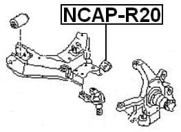 category-818-NCAP-R20